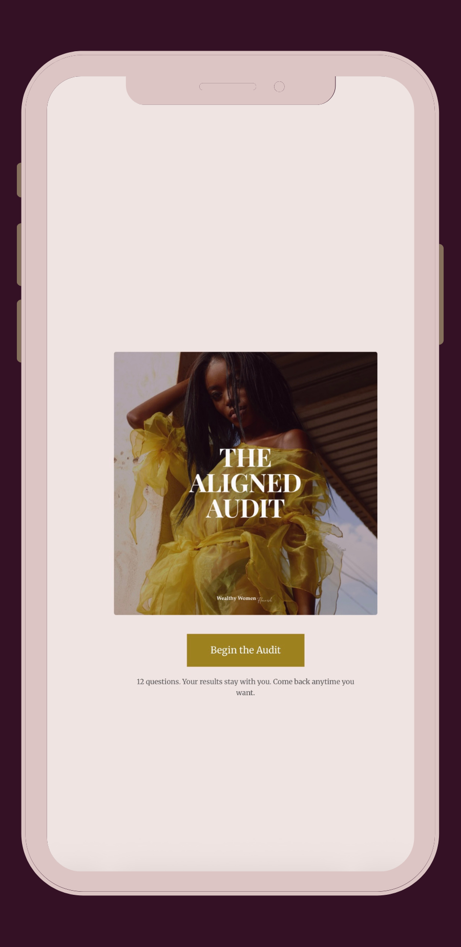 The Aligned Audit cover