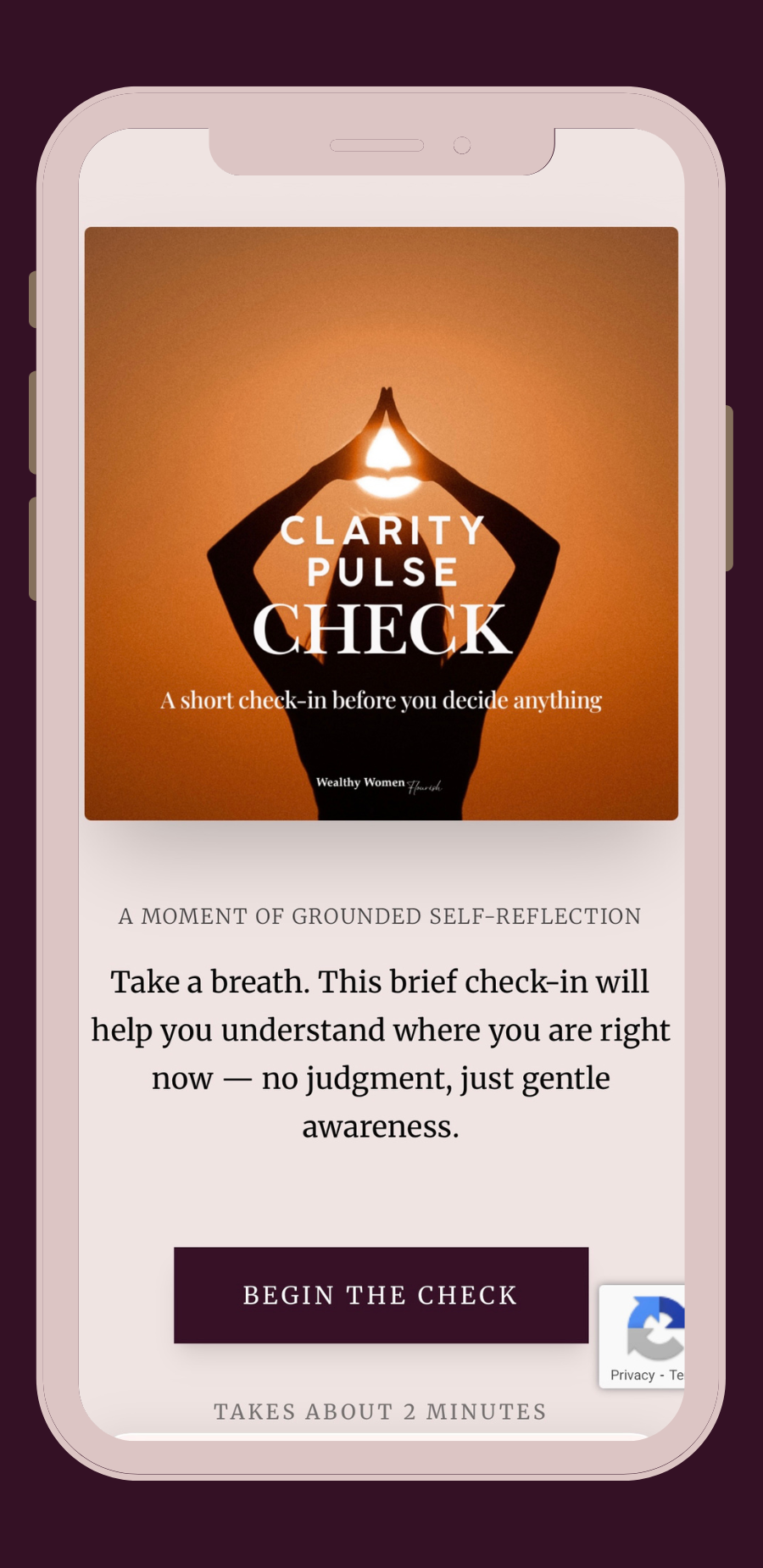 Clarity Pulse Check cover